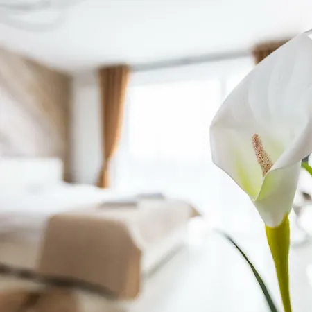 Apartamento Alonisos Lux Braşov