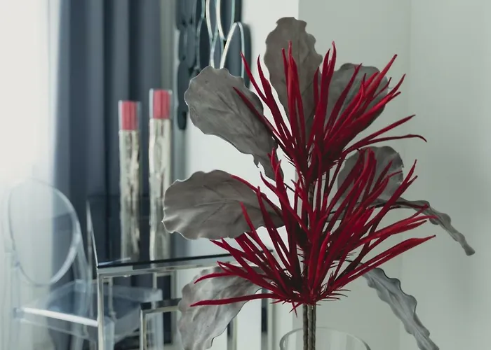 Alonisos Lux Braşov